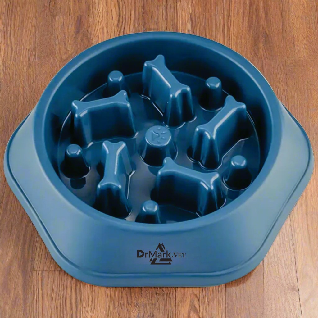 DrMark.Vet Slow Feeding Pet Bowl