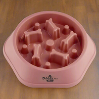 DrMark.Vet Slow Feeding Pet Bowl